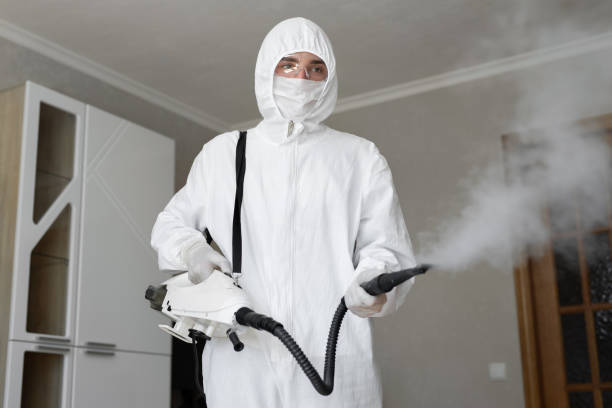 Trusted Middleburg, FL Mold Removal & Remediation Experts